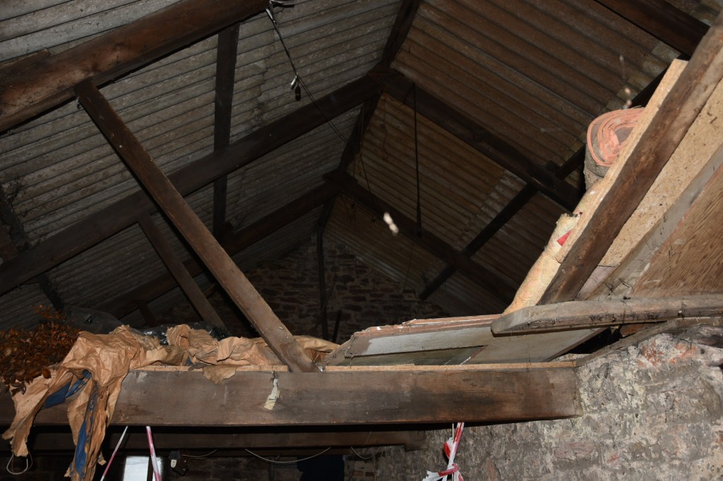 The Next Big&nbsp;Thing